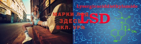 стаф Болохово